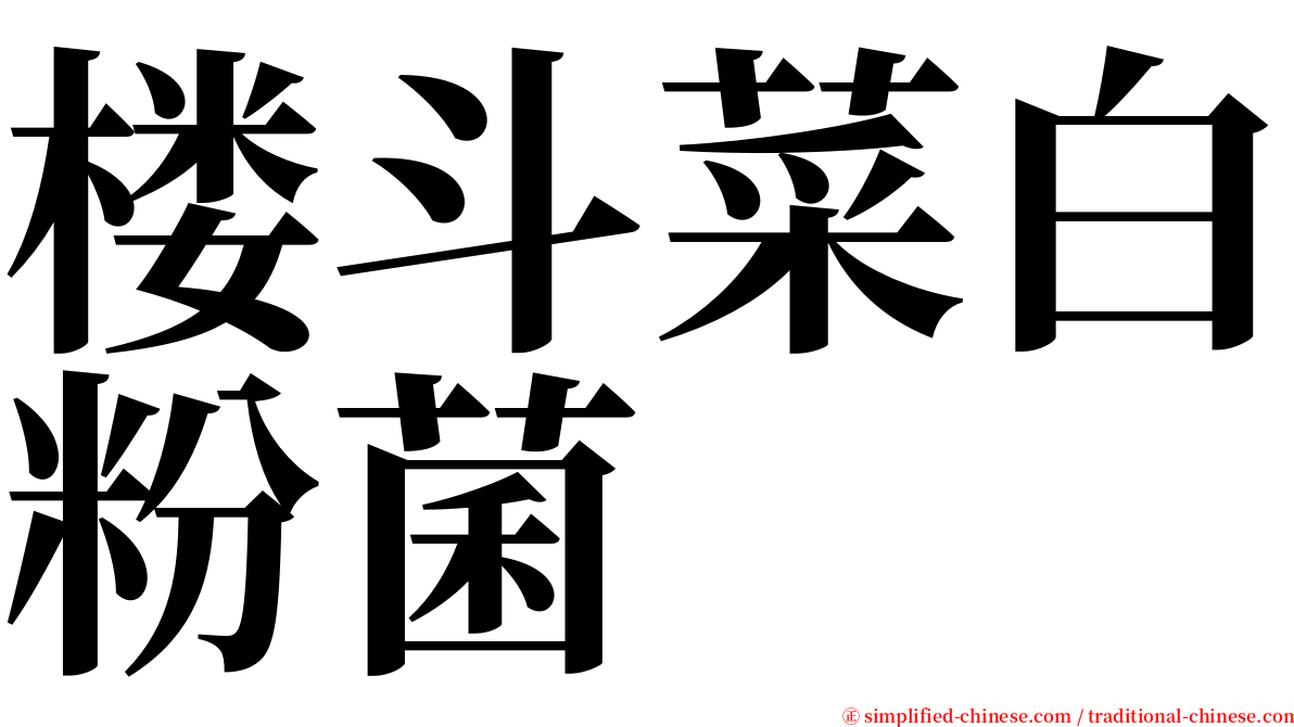 楼斗菜白粉菌 serif font