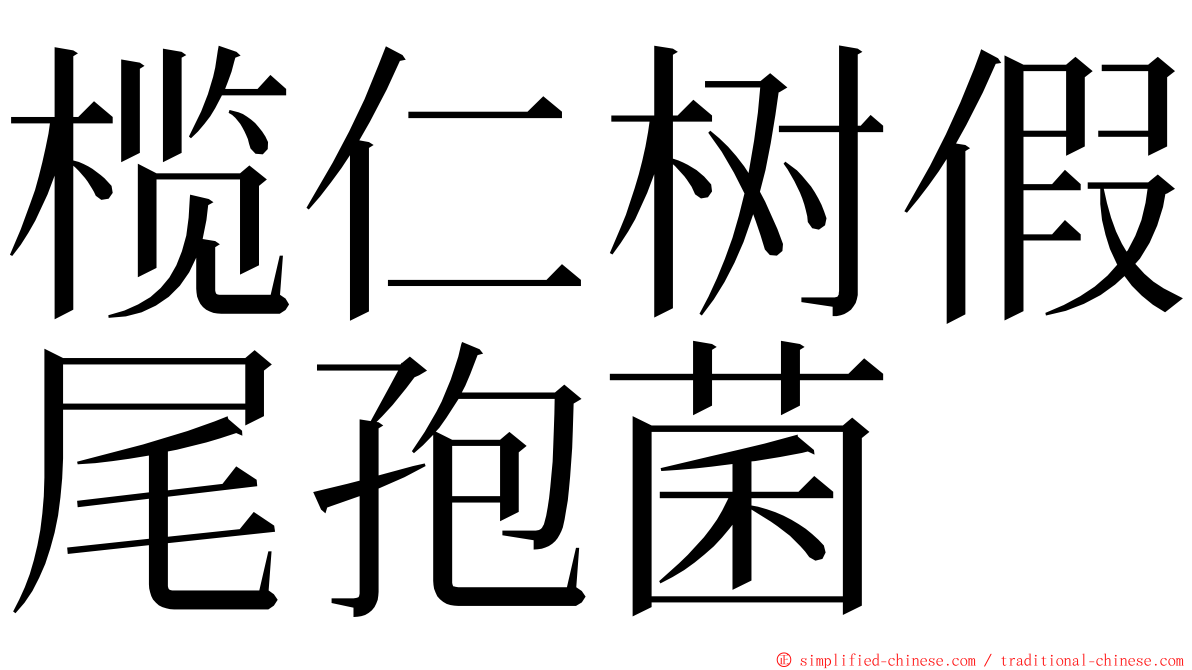 榄仁树假尾孢菌 ming font