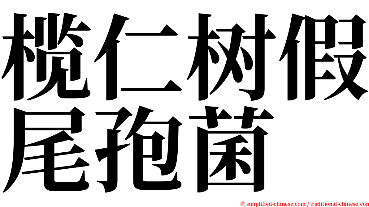 榄仁树假尾孢菌 serif font