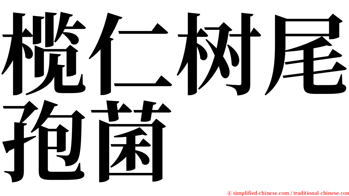 榄仁树尾孢菌 serif font