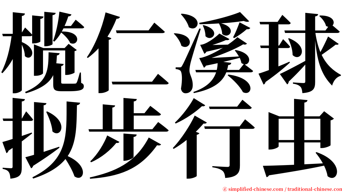 榄仁溪球拟步行虫 serif font