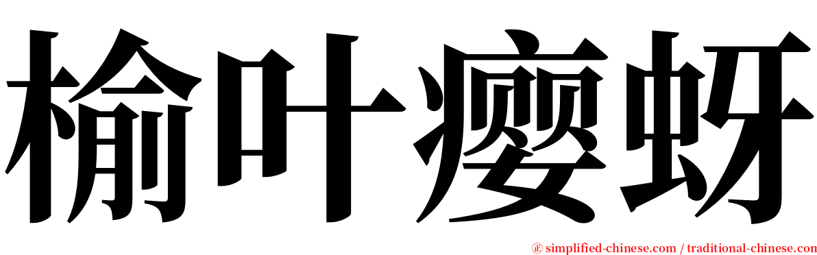 榆叶瘿蚜 serif font
