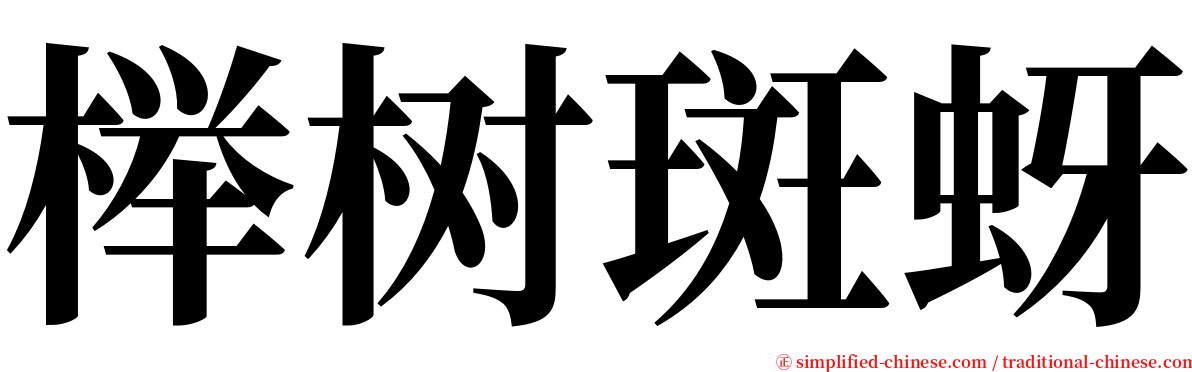 榉树斑蚜 serif font