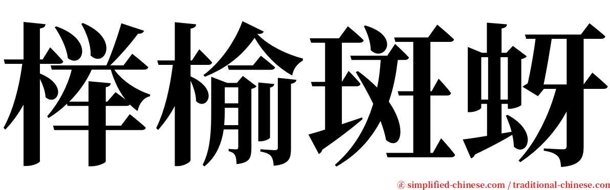 榉榆斑蚜 serif font