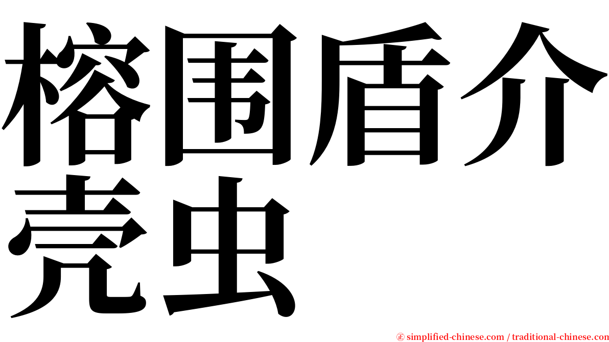 榕围盾介壳虫 serif font