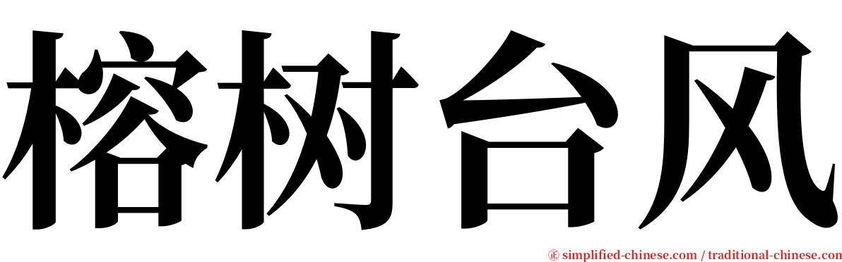 榕树台风 serif font