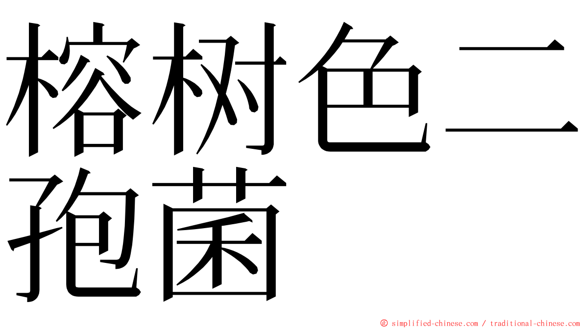 榕树色二孢菌 ming font