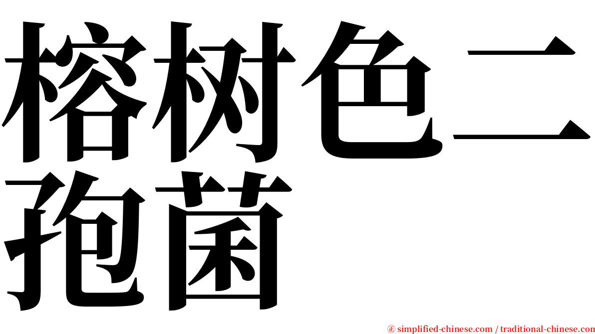 榕树色二孢菌 serif font