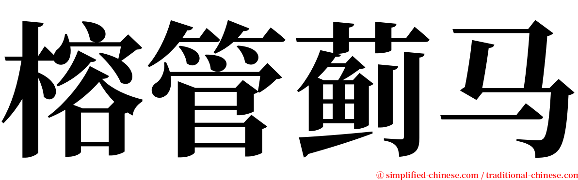 榕管蓟马 serif font