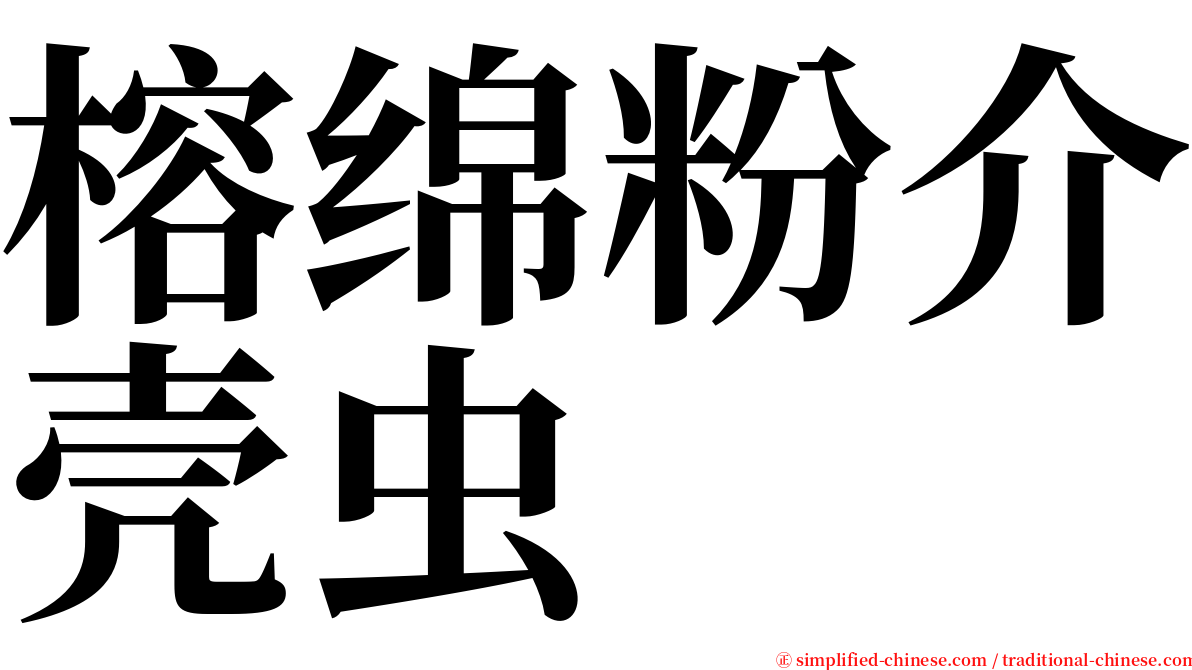 榕绵粉介壳虫 serif font