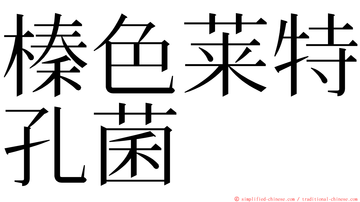 榛色莱特孔菌 ming font