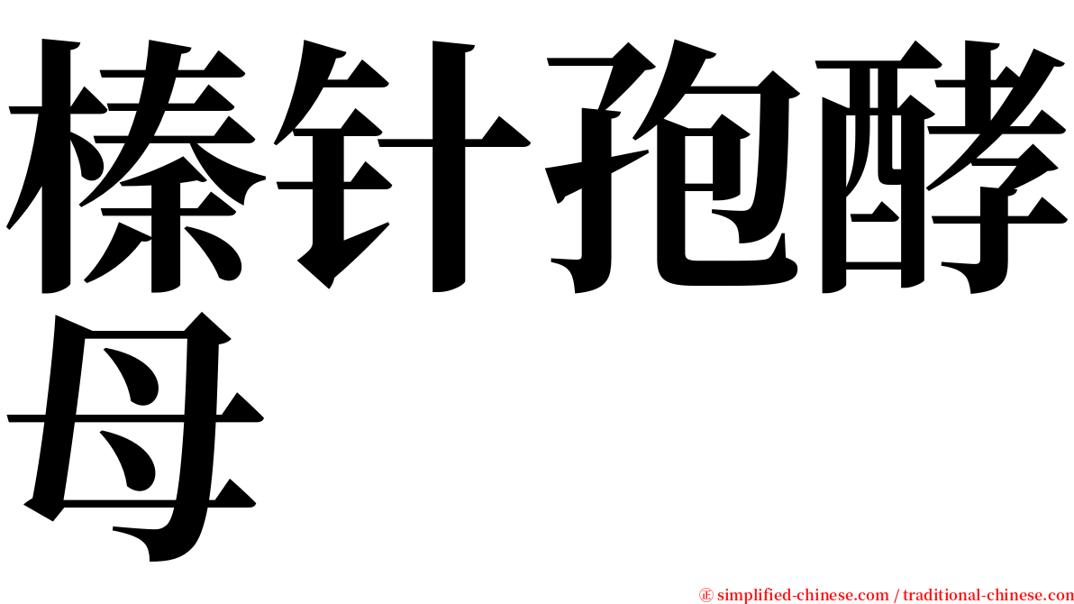 榛针孢酵母 serif font