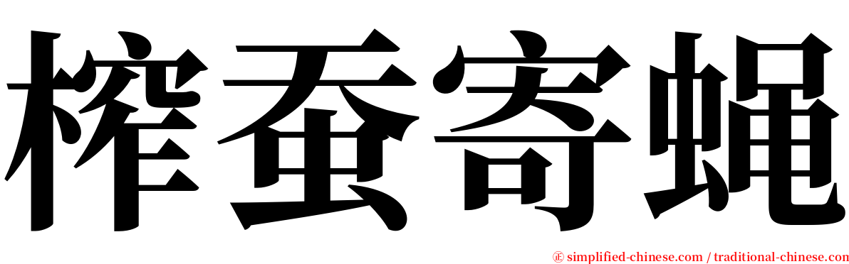 榨蚕寄蝇 serif font