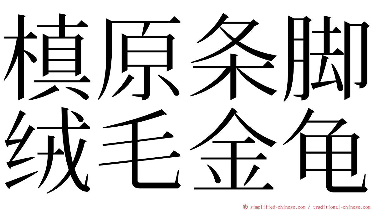 槙原条脚绒毛金龟 ming font