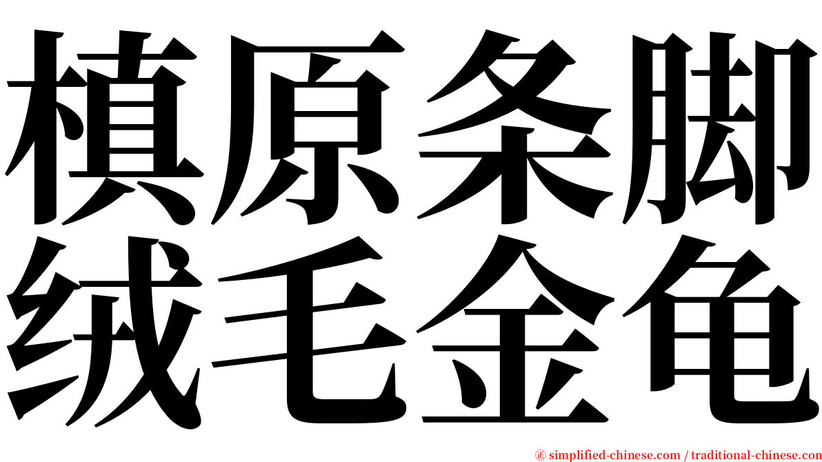 槙原条脚绒毛金龟 serif font