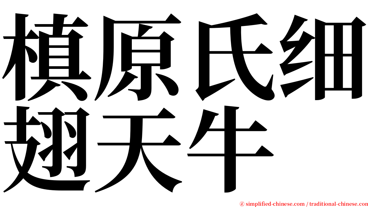 槙原氏细翅天牛 serif font