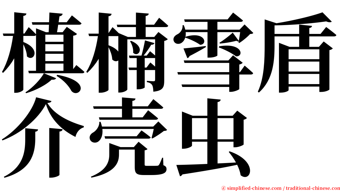 槙楠雪盾介壳虫 serif font