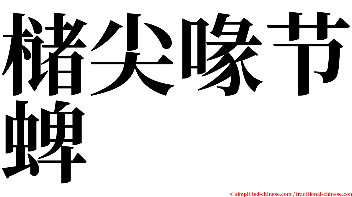 槠尖喙节蜱 serif font