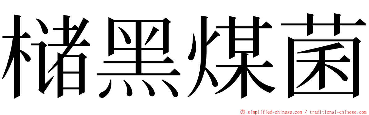 槠黑煤菌 ming font