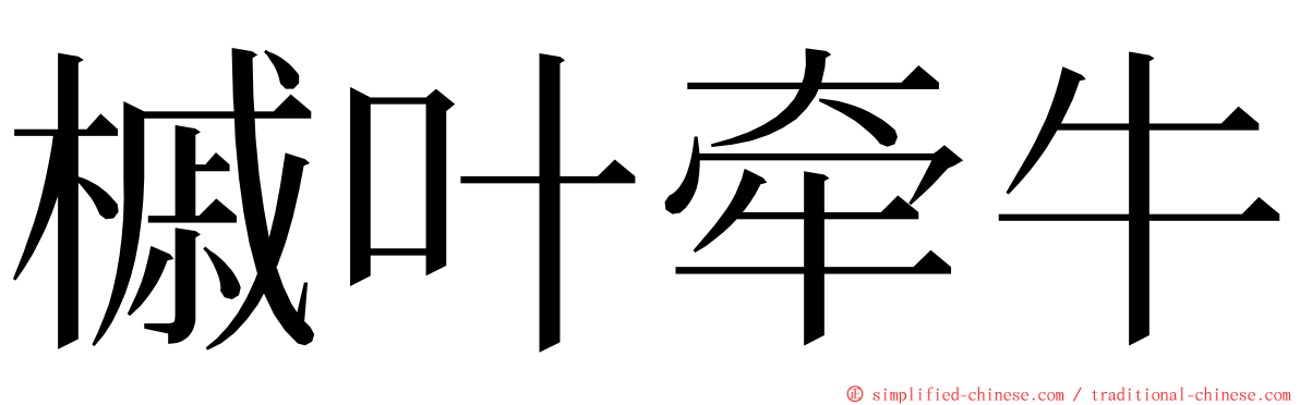 槭叶牵牛 ming font