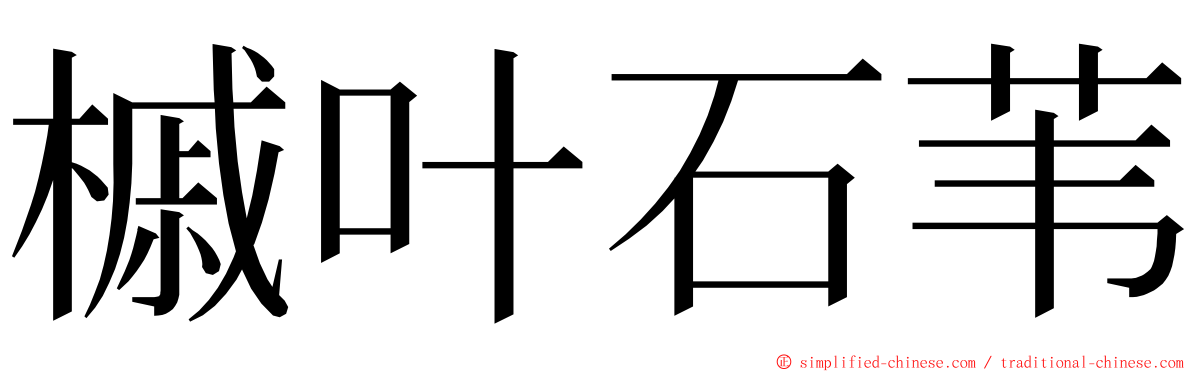 槭叶石苇 ming font