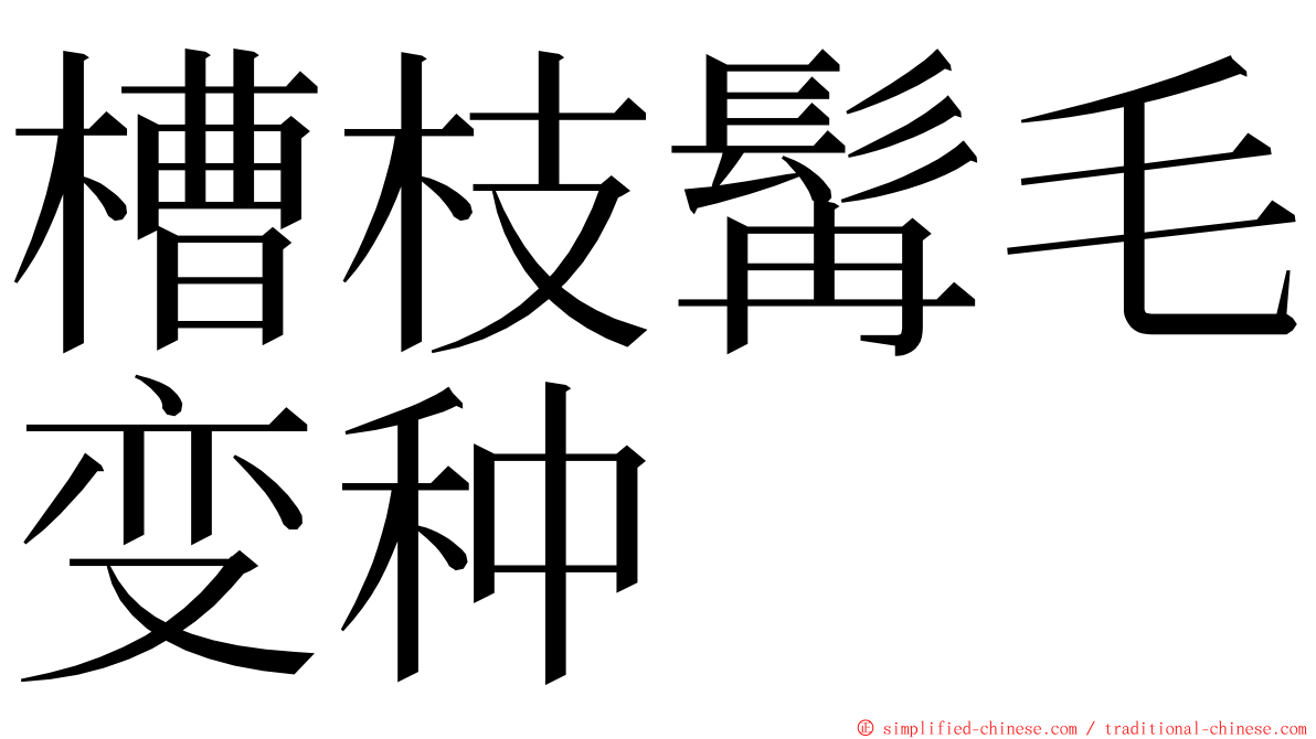 槽枝髯毛变种 ming font