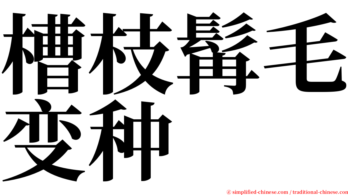 槽枝髯毛变种 serif font