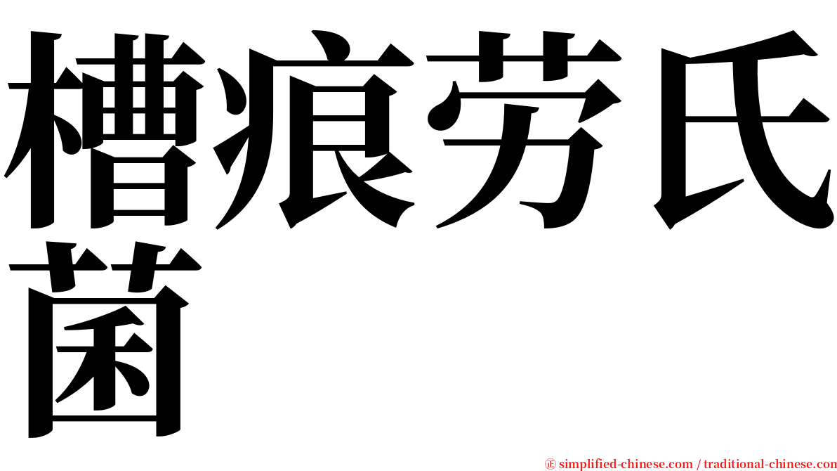 槽痕劳氏菌 serif font