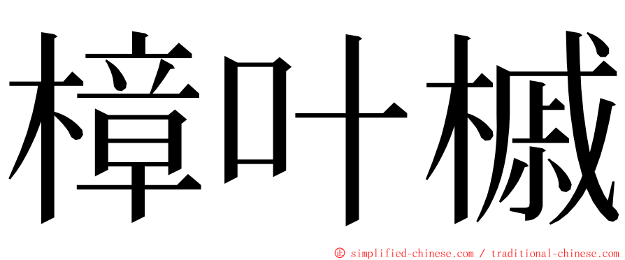 樟叶槭 ming font