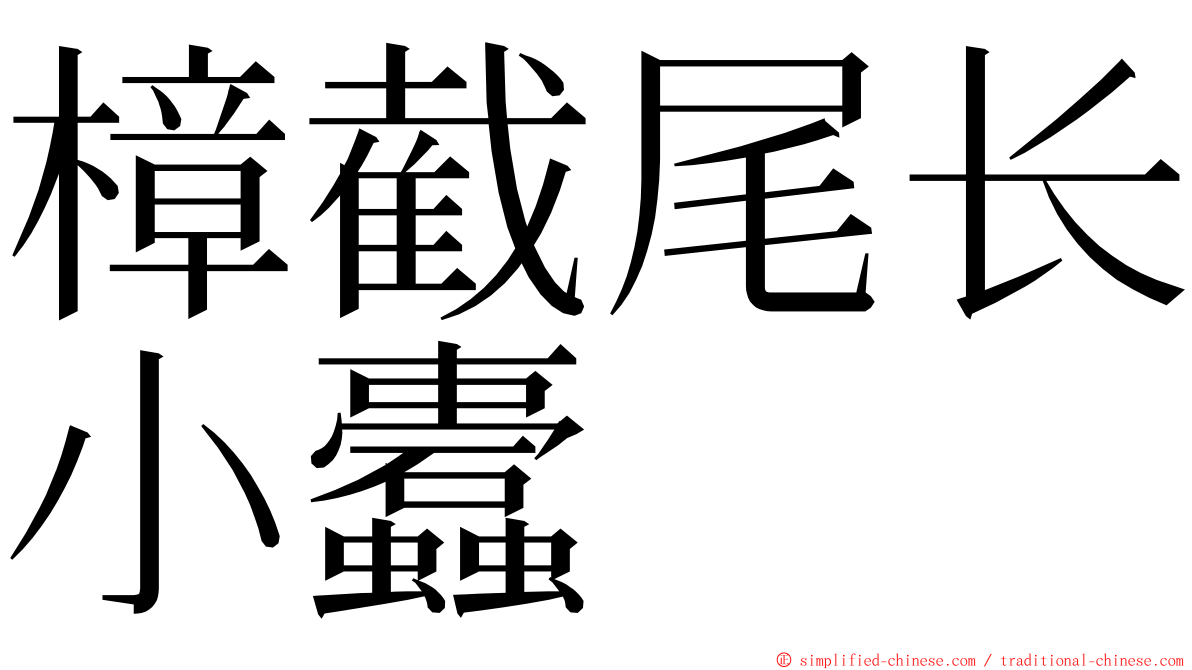 樟截尾长小蠹 ming font