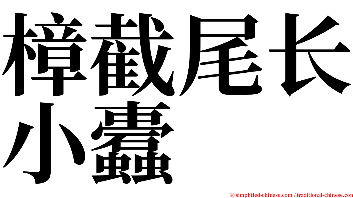 樟截尾长小蠹 serif font