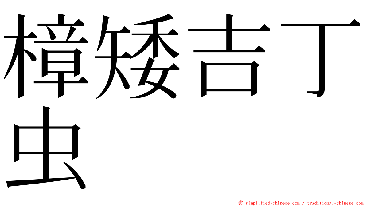 樟矮吉丁虫 ming font