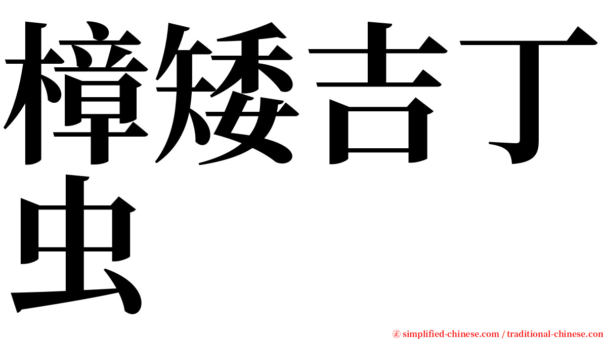 樟矮吉丁虫 serif font