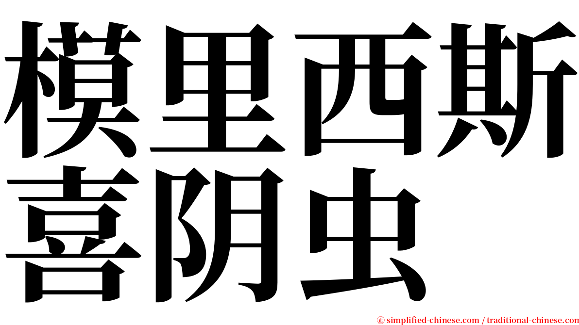 模里西斯喜阴虫 serif font