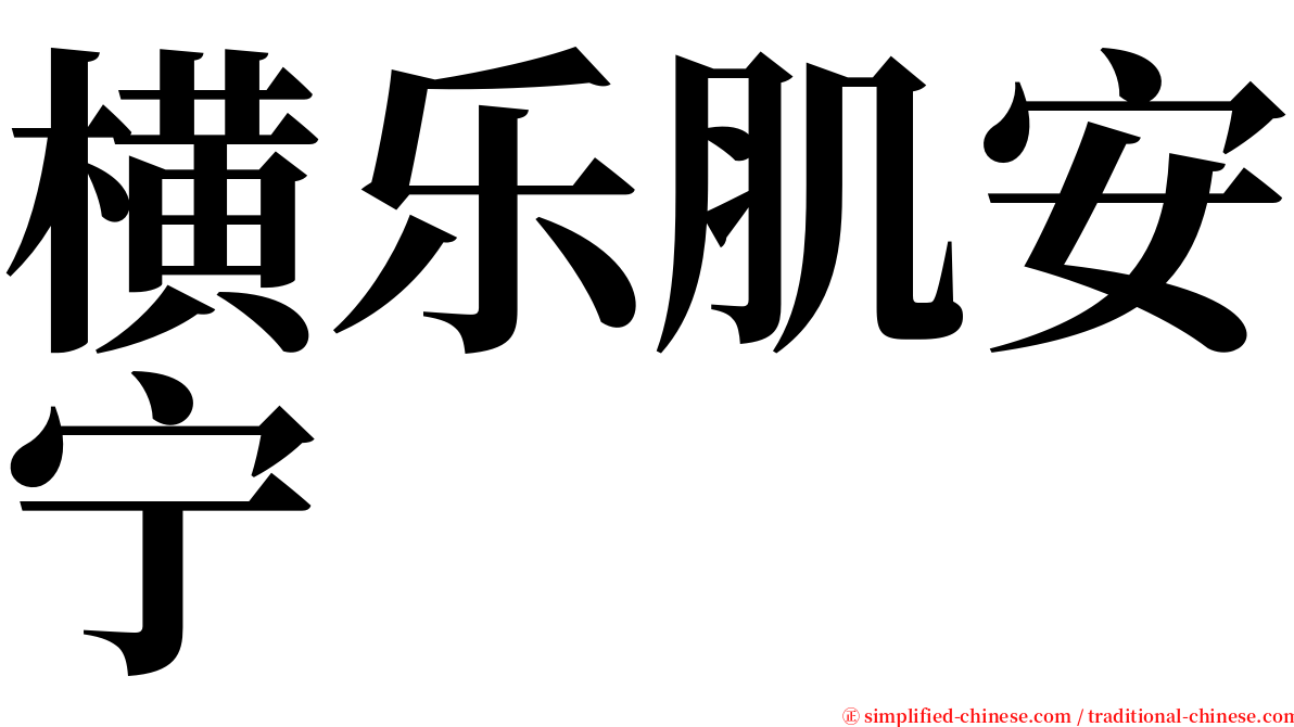 横乐肌安宁 serif font