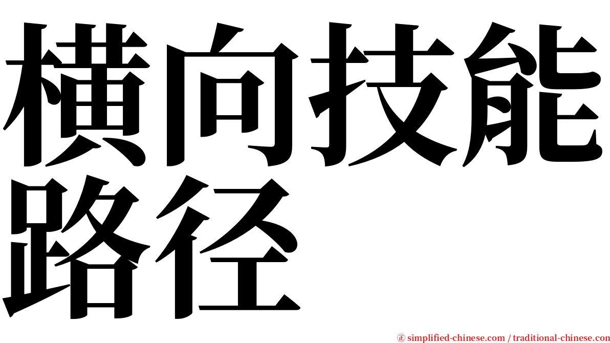 横向技能路径 serif font