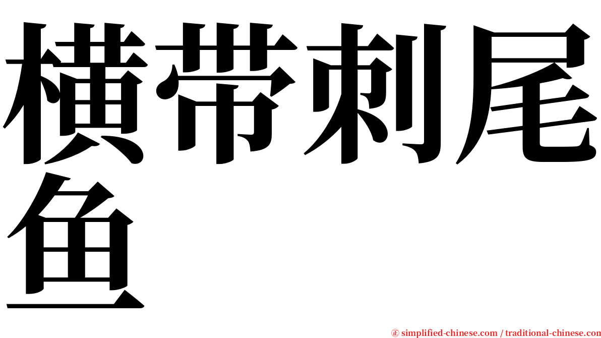 横带刺尾鱼 serif font