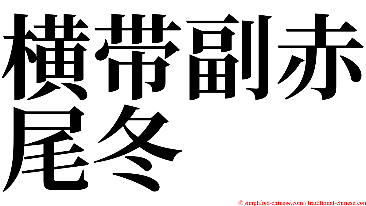 横带副赤尾冬 serif font