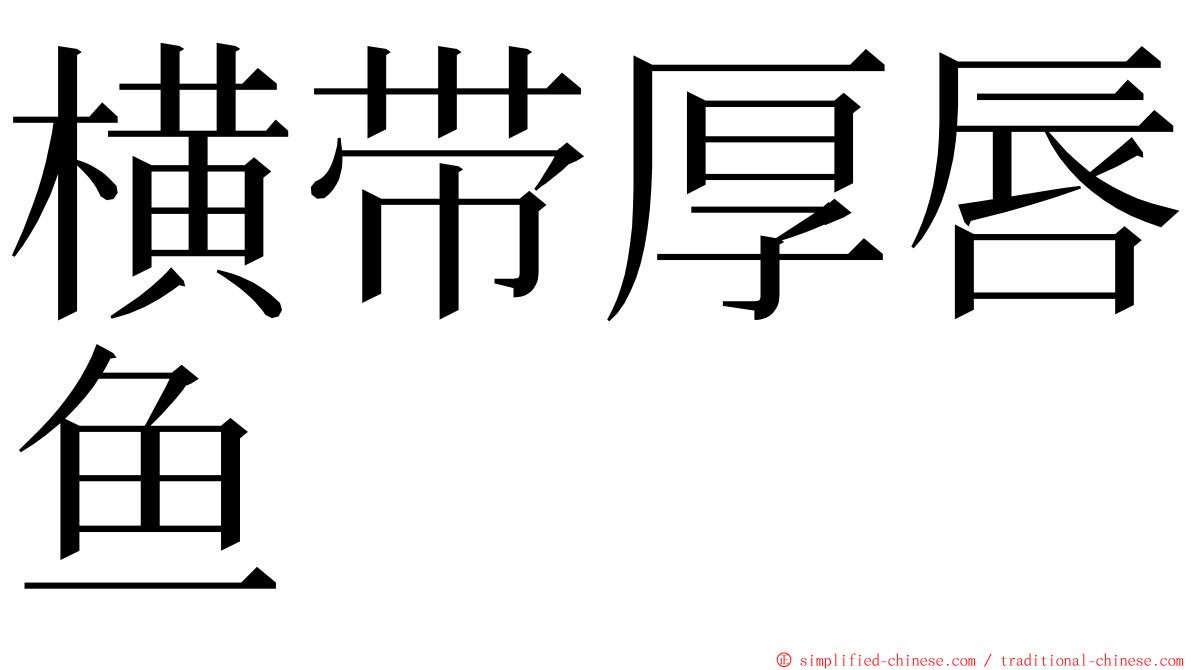 横带厚唇鱼 ming font