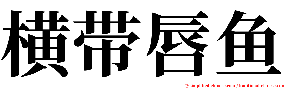 横带唇鱼 serif font