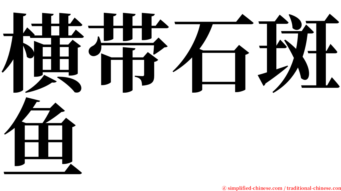 横带石斑鱼 serif font