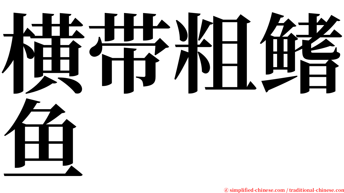 横带粗鳍鱼 serif font