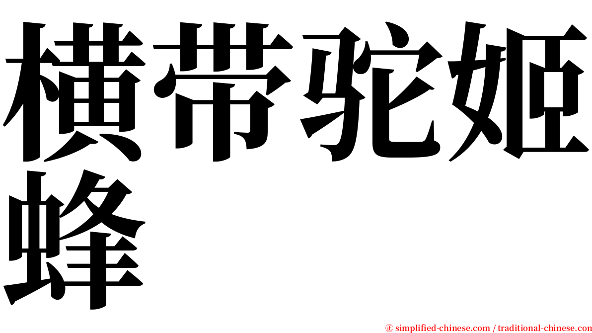 横带驼姬蜂 serif font