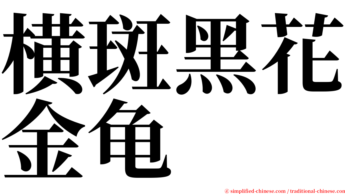 横斑黑花金龟 serif font