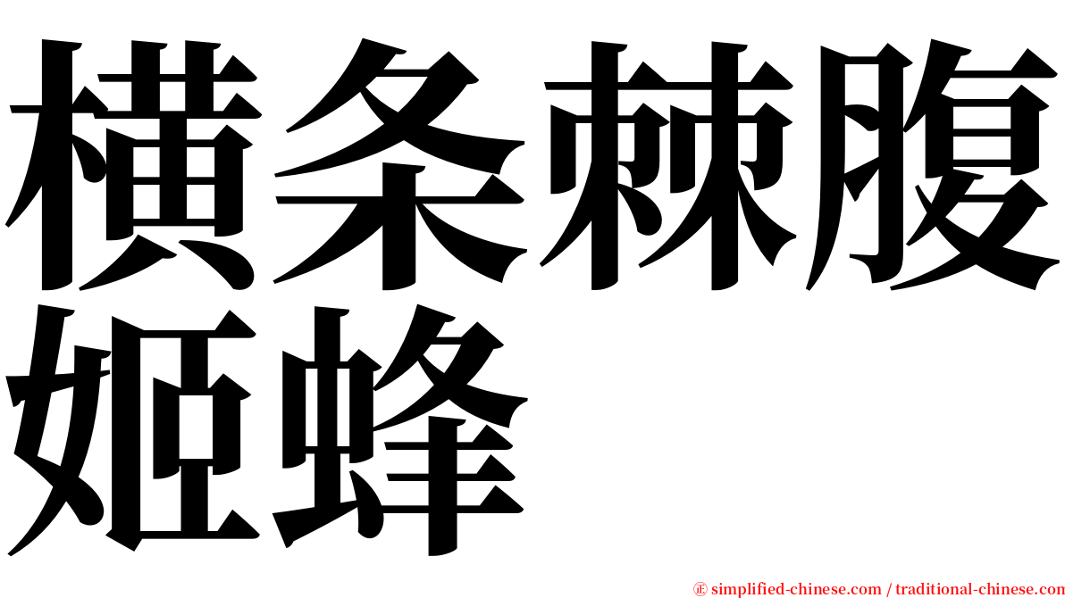 横条棘腹姬蜂 serif font