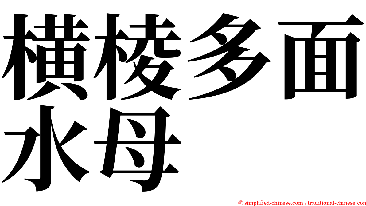 横棱多面水母 serif font