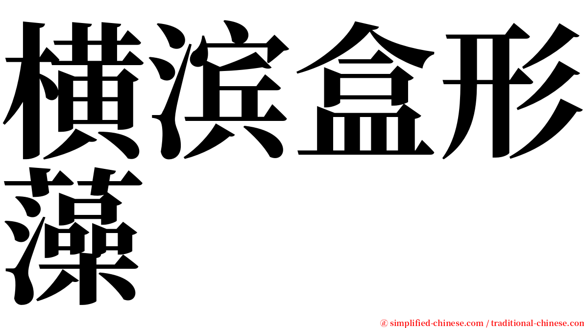 横滨盒形藻 serif font