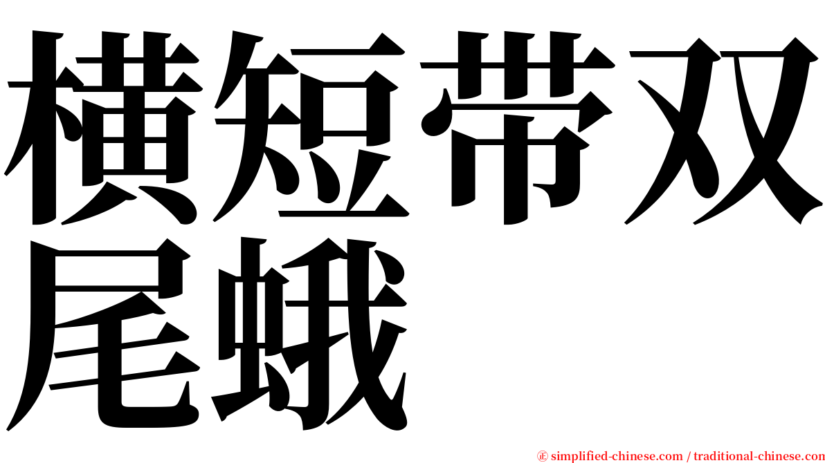 横短带双尾蛾 serif font