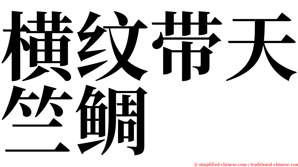 横纹带天竺鲷 serif font