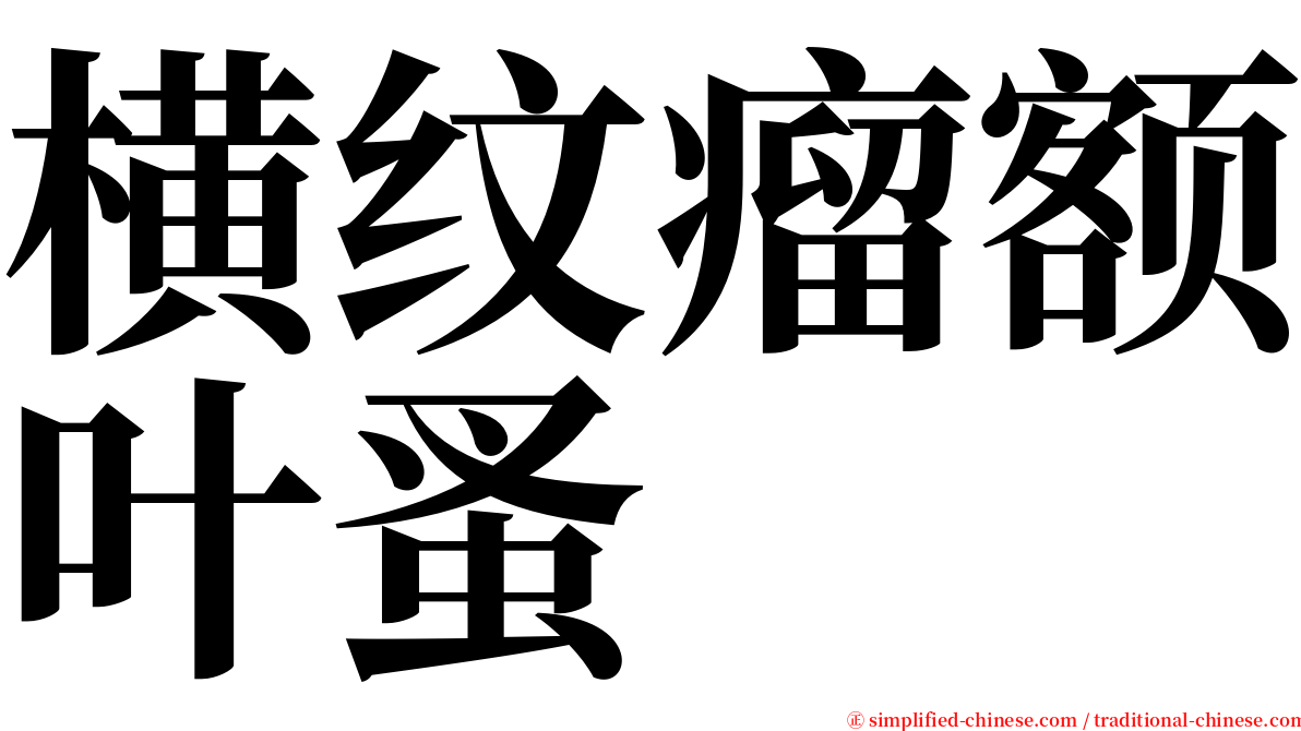 横纹瘤额叶蚤 serif font